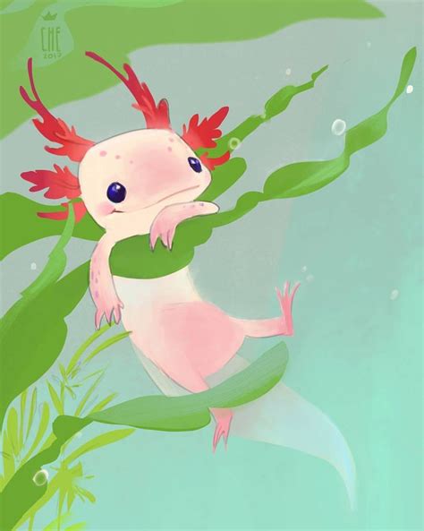 You can edit any of drawings via our. Axolotl | Cute art, Axolotl, Axolotl cute