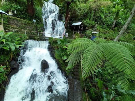 Best 3 Things To Do At Jembong Waterfall Bali Urtrips