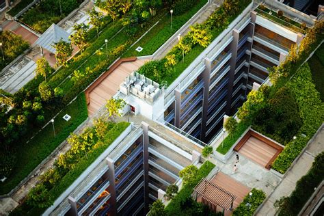Urban Rooftop Garden Benefits Prosight Specialty Insurance