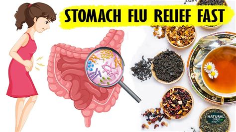 How To Treat Stomach Flu Best Remedies For Stomach Flu Youtube
