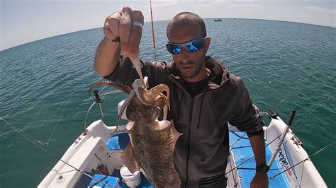 Bellissima Pescata A Seppie Big Pesca Dalla Barca Youtube