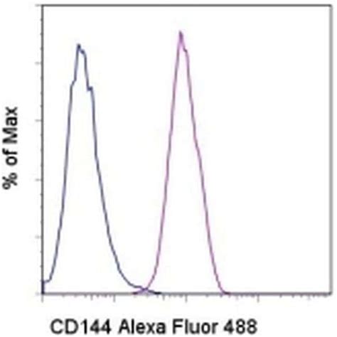 Thermo Fisher Scientific Cd144 Ve Cadherin Monoclonal Antibody 16b1