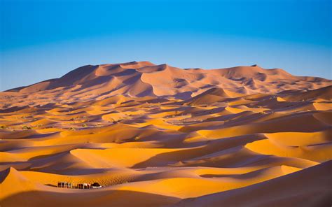 Sahara Desert Wallpaper 4k Merzouga Morocco Sand Dunes 2122