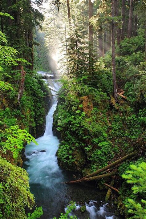 Sol Duc Falls Olympic National Park Scenery Places To See Places To Go