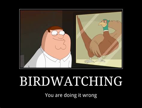 Birdwatching You Re Doing It Wrong Know Your Meme