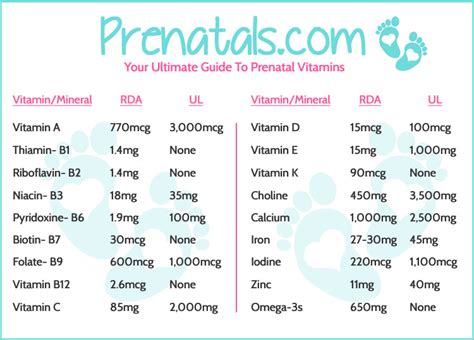 Complete Guide To Prenatal Vitamin Ingredients
