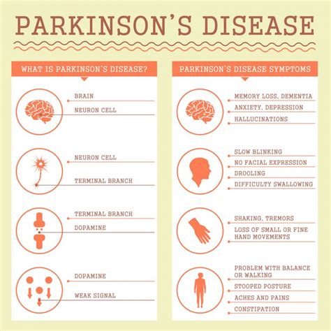 Parkinsons Disease Infographic Medfitnetwork