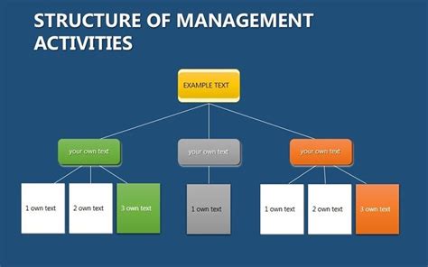 Project Organizational Structure Powerpoint Charts Template