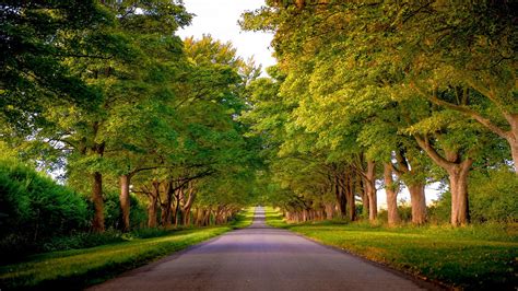 Avenue Wallpapers Photos And Desktop Backgrounds Up To 8k 7680x4320