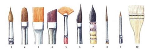 Watercolour Brushes How To Choose The Right Paint Brush