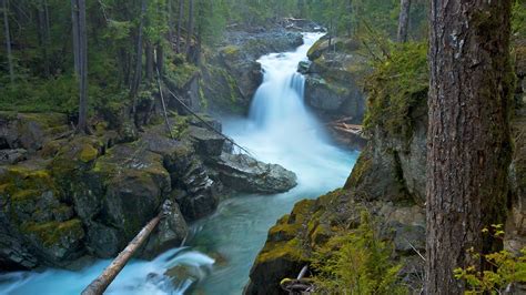 Mount Rainier National Park In Ashford Washington Expedia