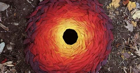 Andy Goldsworthy Face