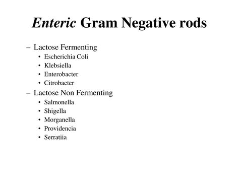 Ppt Enterobacteriaceae Powerpoint Presentation Free Download Id147030