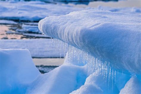 Melting Icicles Hanging From An Ice Floe Stock Image Image Of Nature