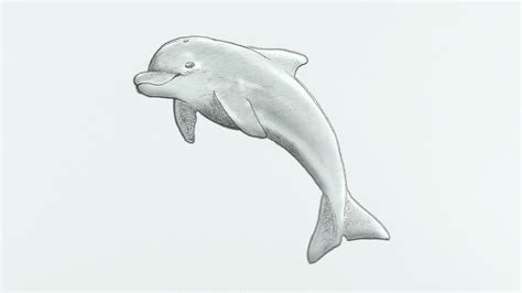 Delfin Zeichnen Bleistift Einfach Efalino Schulranzenset Delfin