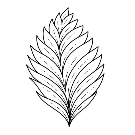 Drawing Leaves Easily Using Simple Shapes Jspcreate