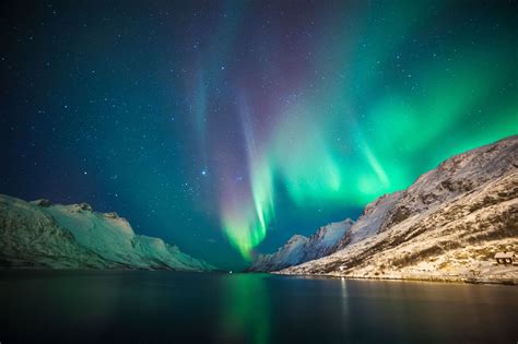 Women Under The Northern Lights Norway Northern Lights See The