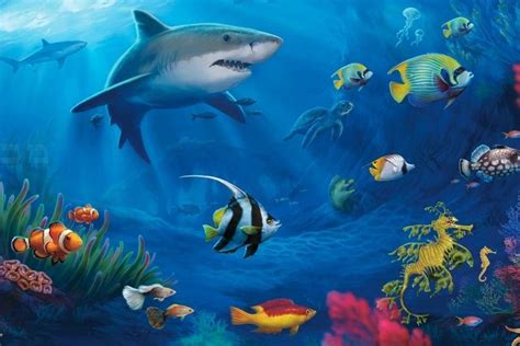 Cool Fish Backgrounds ·① Wallpapertag