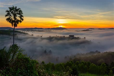 Premium Photo Beautiful Sunrise And The Mist At Khao Kho Phetchabun