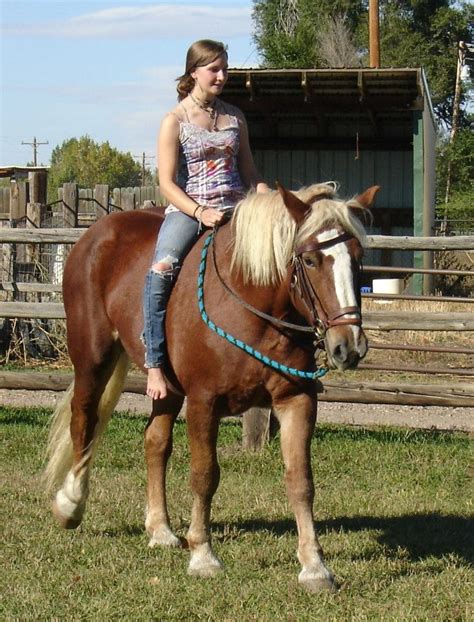 Pin On Country Cowgirl