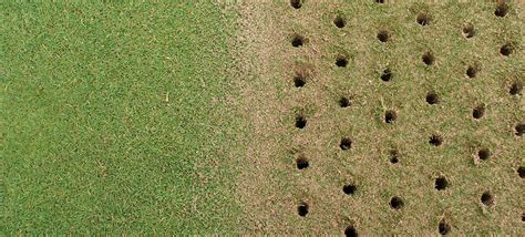 Lawns are notorious for becoming compacted over time. Lawn Core Aeration and Thatch Control Service | Lawn & Landcare