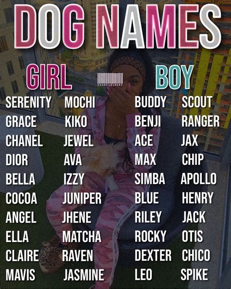 Cute Animal Names For Girlfriend