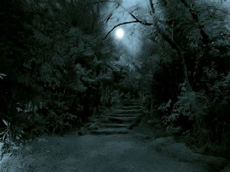 Pathway To Dark Forest Night Forest Forest Background
