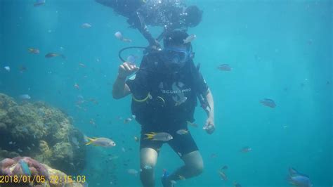Scuba Diving Havelock Island Andaman Part 1 Youtube
