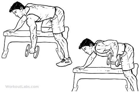 Are Bent Over Rows Safe Rfitness