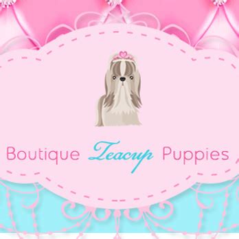 Use scampulse to make a complaint. Boutique Teacup Puppies - Southwest - Las Vegas, NV | Yelp