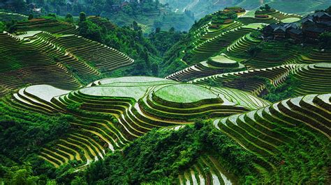 Hd Wallpaper Beautiful China Guangxi Landscape Longsheng Rice