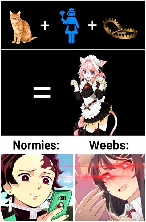 r goodanimemes r goodanimemes in 2022 anime memes otaku anime memes funny anime pics
