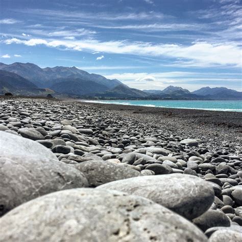 Kaikoura Beach Tours Book Now Expedia