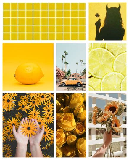 Yellow Mood Board By Unicorns22forever Befunky Photo Editor