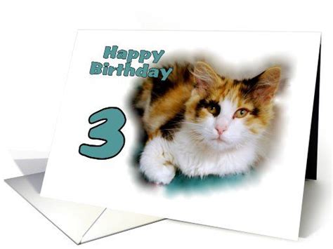 Happy Birthday Three Calico Cat Card Cards Birthday Cards Cat Cards