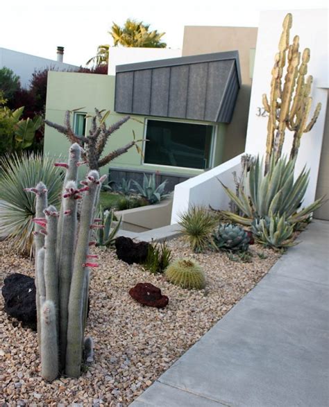 36 Cactus Garden Design Ideas Landscaping With Cactus And Rocks