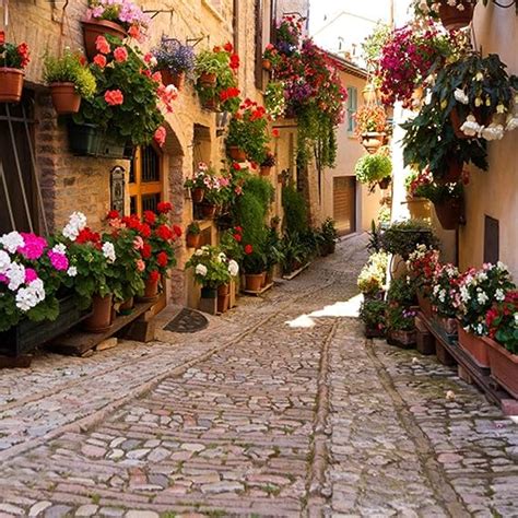 5x7ft Italy Travel Themed Photography Backdrop Italian Town Pot Flowers