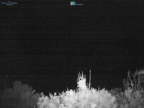 Web Cam Elba Island: beach of Morcone - Capoliveri