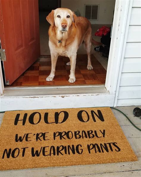 Hold On We're probably not wearing pants Funny Doormat | Etsy | Funny door mat, Door mat, Funny ...