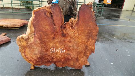 Redwood Burl Slabs Unique Redwood Pieces Redwood Burl Inc