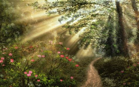 Download Sunbeam Sunshine Flower Path Artistic Forest Hd Wallpaper