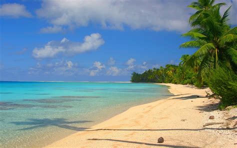 Nature Water Landscape Tropical Island Beach White Sand Palm