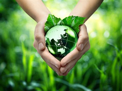 World Environment Day Ways We Can Contribute To Saving Our