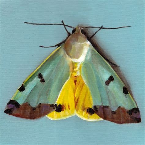 Moth By Tali Yalonetzki On Artfully Walls Fine Art Painting Art