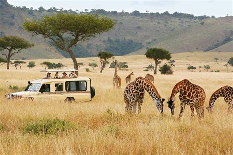 Our Best Kenya Safari Tours For Every Traveller In 2024 2025