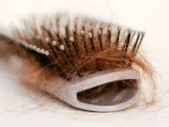 Male Leg Hair Loss - Treatment For Male Leg Hair Decline ...