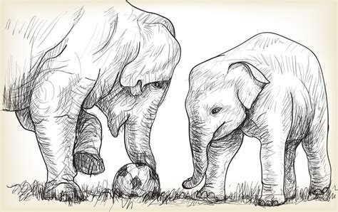 Premium Vector Elephant Playing Football Illustration