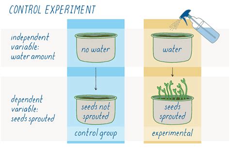 Controlled Experiment Biology Simple