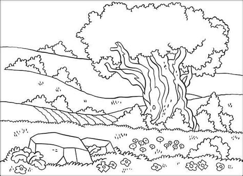 Gambar Mewarna Suasana Hutan