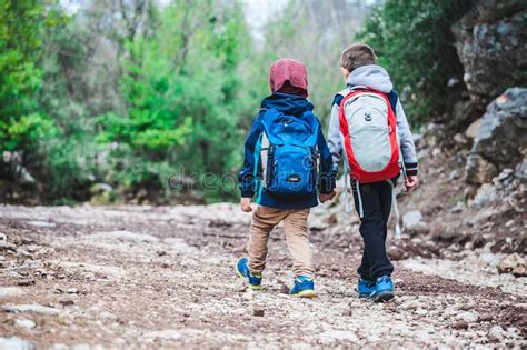 Two Boys With Backpacks Are Walking Along A Forest Path Stock Image